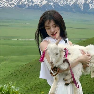 无毒岛